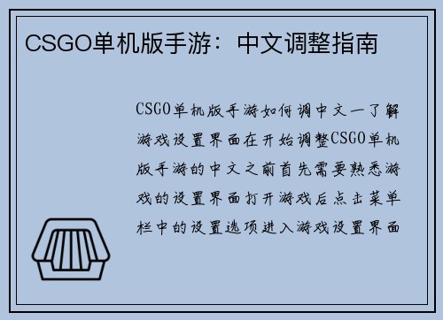 CSGO单机版手游：中文调整指南